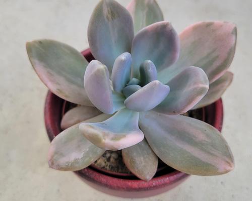 cef57e14892cafc7ac2be381f4ec7c