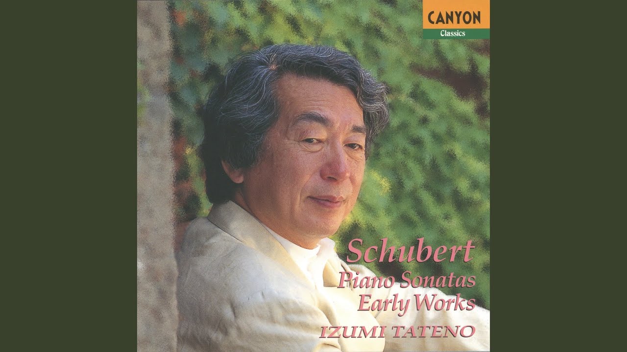 シューベルト:ピアノ・ソナタ第4番 イ短調 D.537;第1楽章 - YouTube